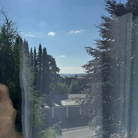 Mountain View Lejlighed