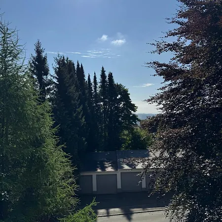 Mountain View Lejlighed