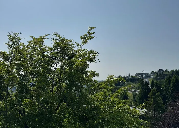 Mountain View Appartamento Winterberg