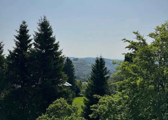 Mountain View * 빈터베르크